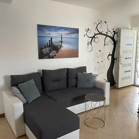 Apartmani Kristo 扎达尔 外观 照片
